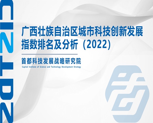 操wwww【成果发布】广西壮族自治区城市科技创新发展指数排名及分析（2022）